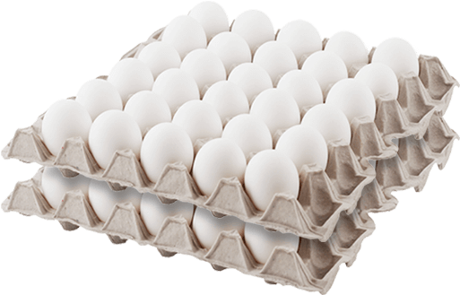 Huevo Blanco Aaa60 Unidades - Plastic (600x600), Png Download