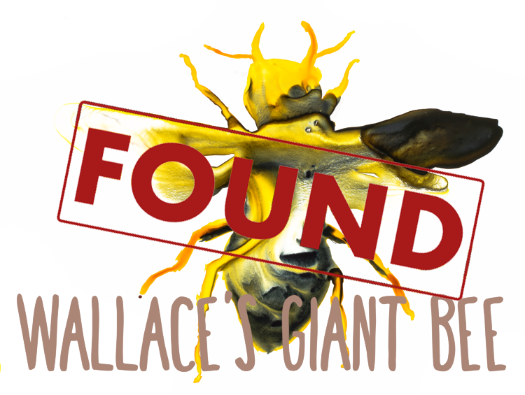 25 Most Wanted Lost Species - Graphic Design (750x565), Png Download