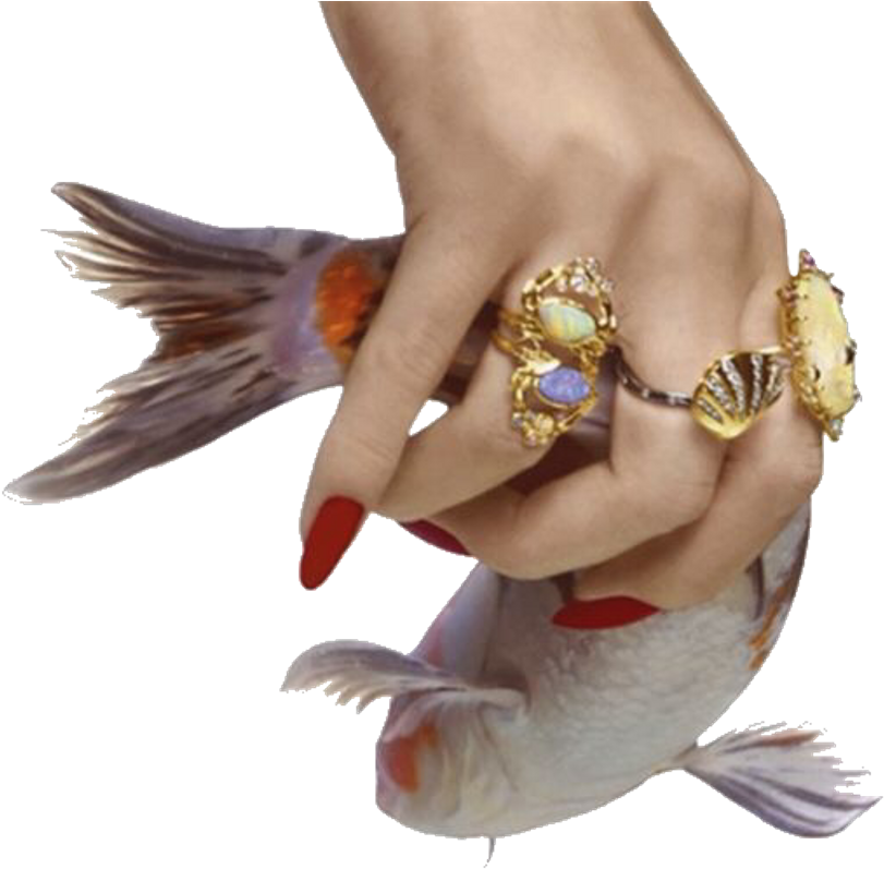 Hand Sticker - Jewellery (1024x816), Png Download