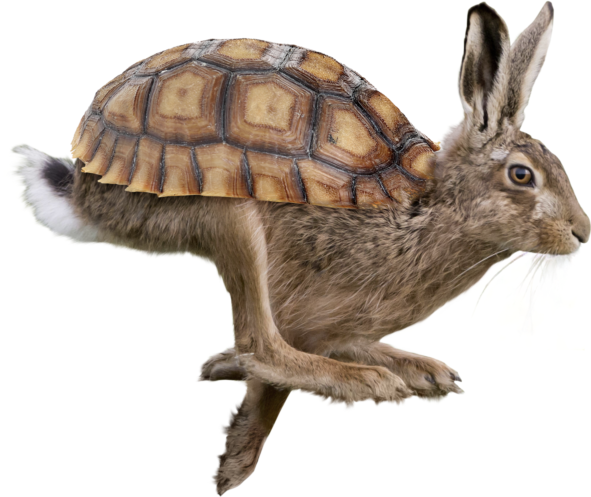 1327 X 1200 1 - Tortoise And The Hare Hybrid (1327x1200), Png Download