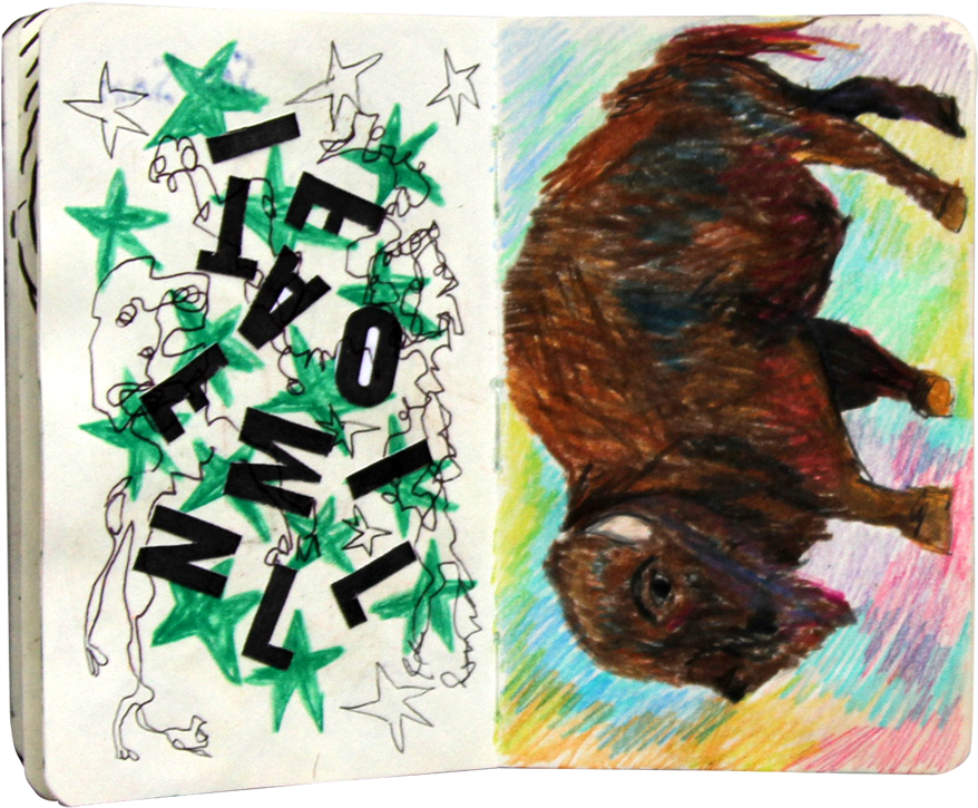 18 - Sea Otter (1000x840), Png Download