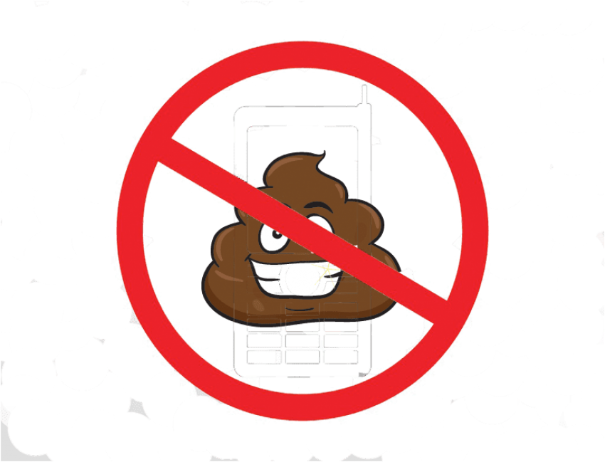 Free Png Download Emoji Poop Pillow Sham Png Images - Composter Facts (850x649), Png Download