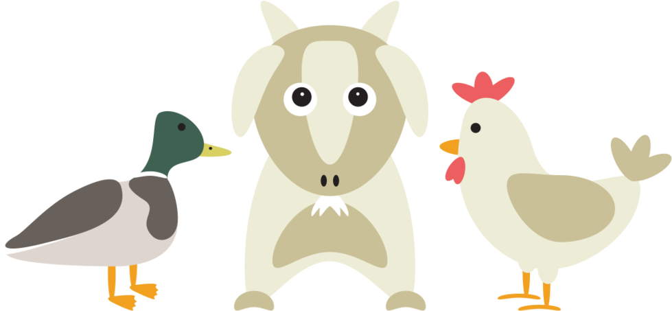 Duck Chicken Feed Website Icon - Duck And Chicken (1000x568), Png Download