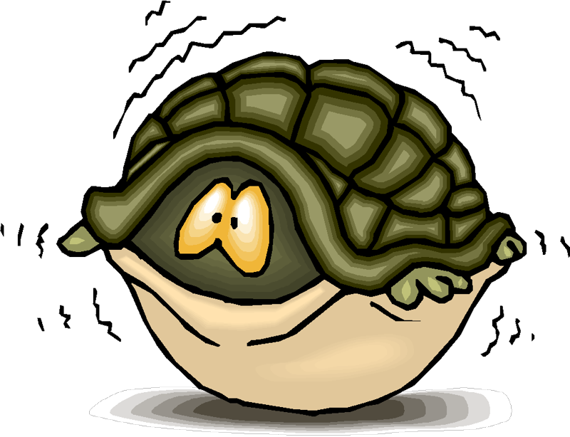 Fortunately - Scared Turtle Clipart (800x614), Png Download