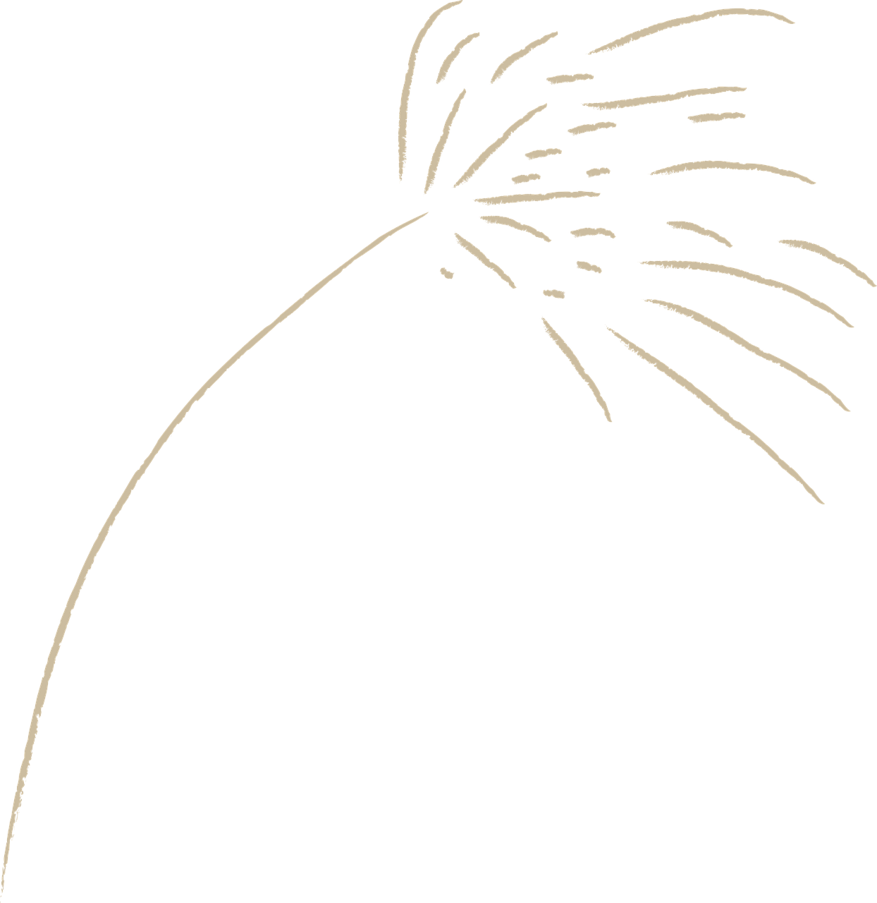 Line Art (1244x1280), Png Download