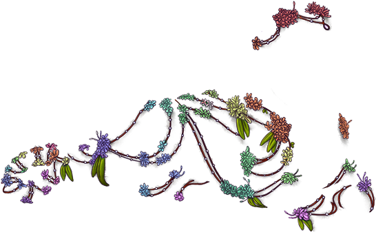 Lioden African Flower Ornament (640x500), Png Download