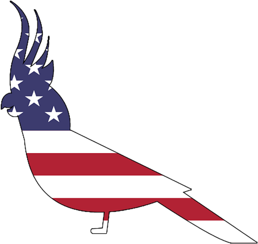 Bleed Area May Not Be Visible - Illustration (583x700), Png Download