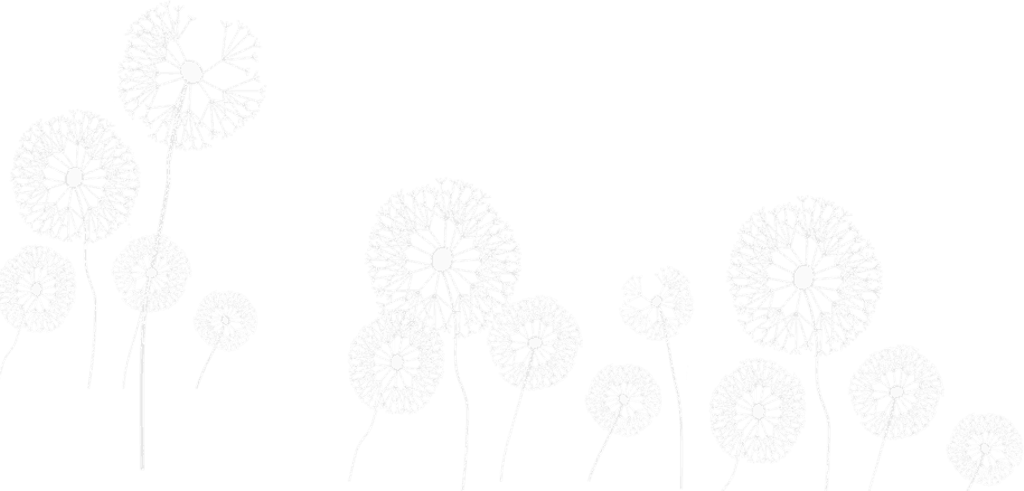 Freetoedit A Group Of Dandelions Png Transparentbackgro - Sketch (1024x491), Png Download