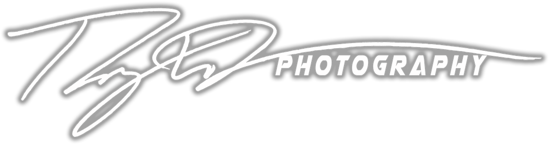 Mountain State Fair - Porsche (1100x300), Png Download