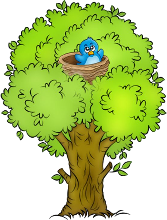 Clipart Png, Tree Clipart, Clipart Images, Forest Theme, - Arbre Clipart (564x733), Png Download