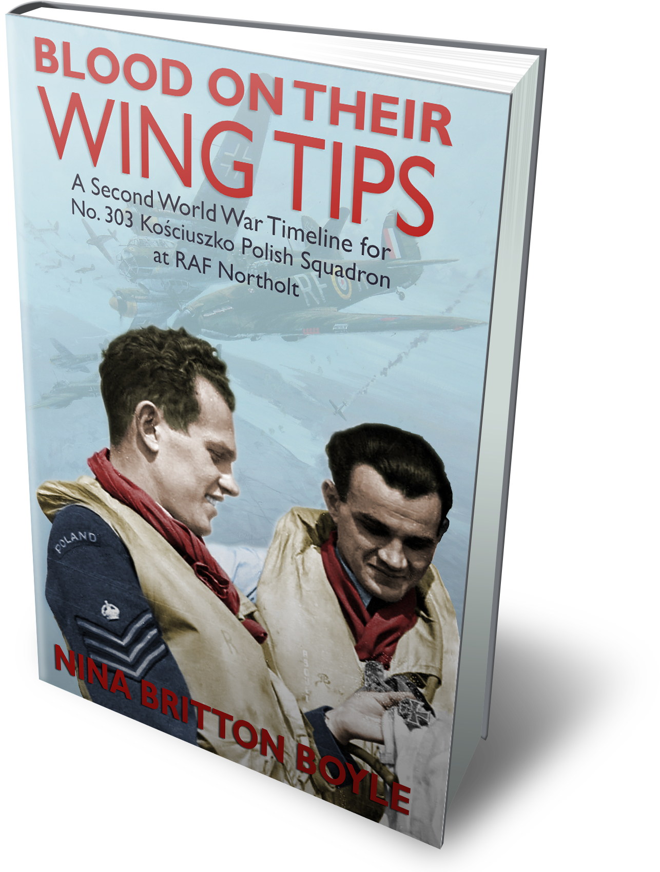 Botw 3dcover - Squadron 303 Book (1800x1800), Png Download