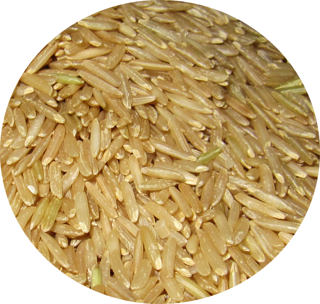 Rice Is A Staple Food In Most, If Not All, Asian Dishes - Rice (1116x1062), Png Download