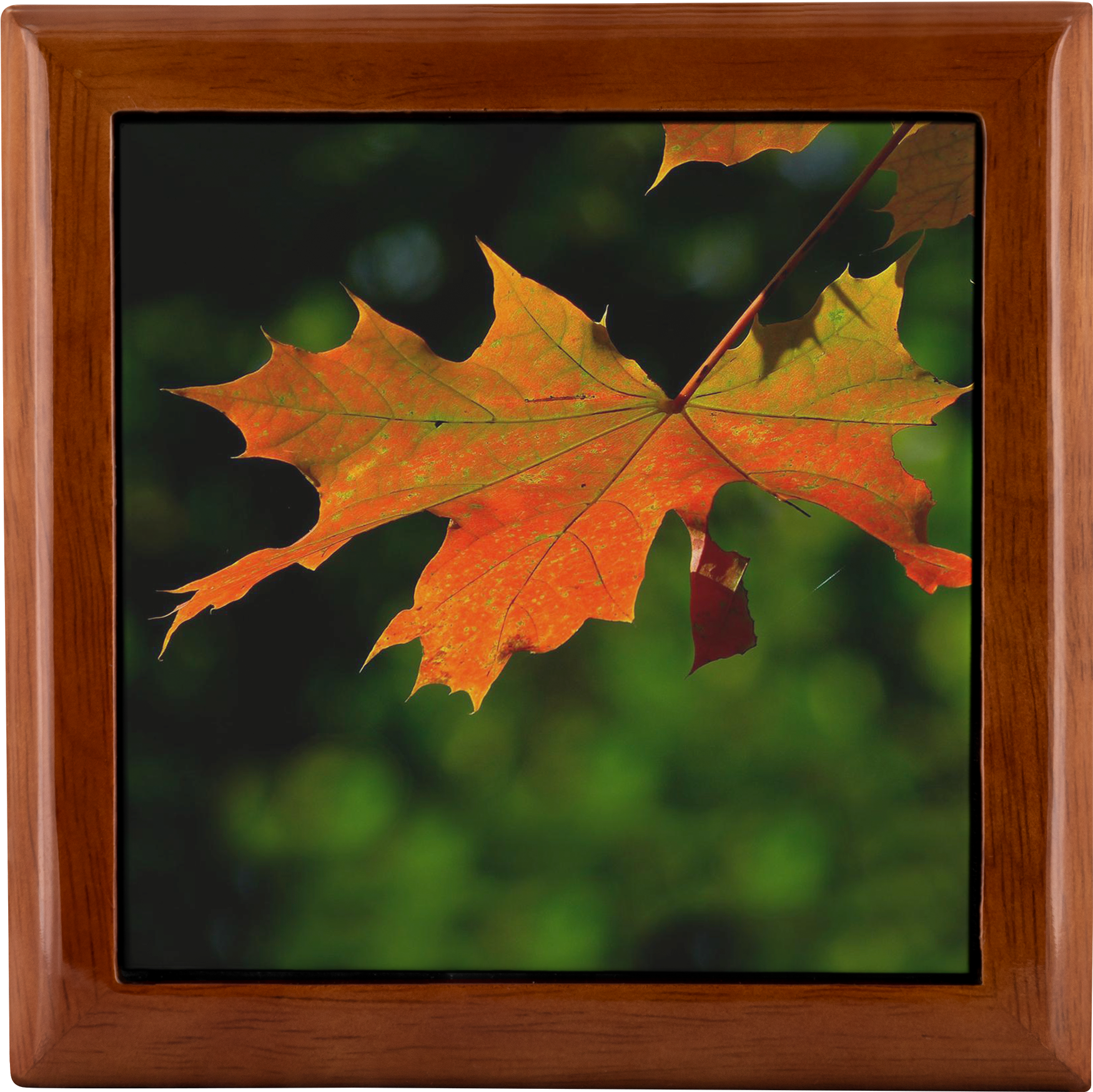 Red Maple Leaf Wood Jewelry Box - Love And Gratitude On Thanksgiving (2000x2000), Png Download