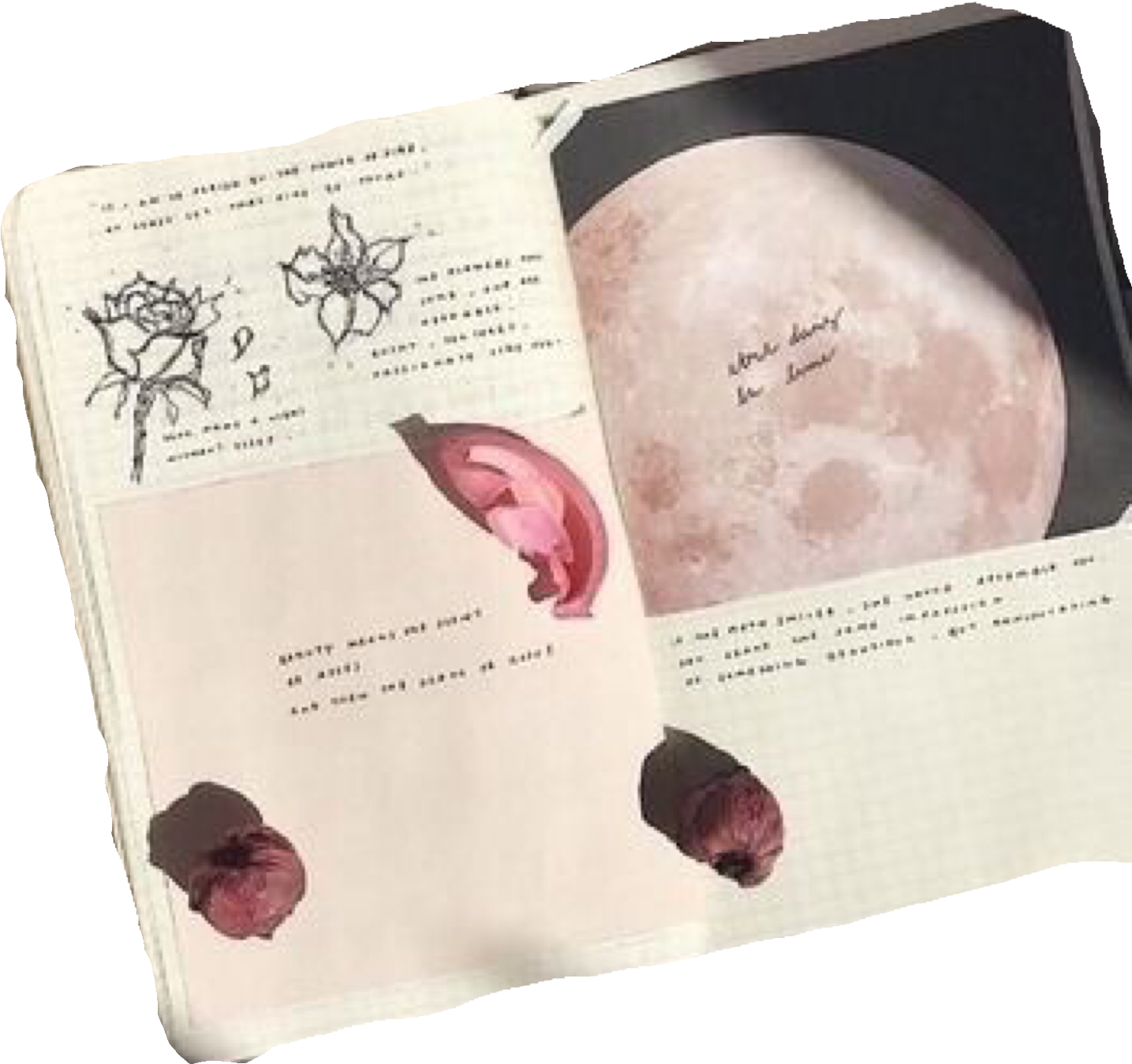 Fundos, Guernsey, Vaselina, Sobreposições, Placas De - Ways To Fill Notebooks (2048x2020), Png Download