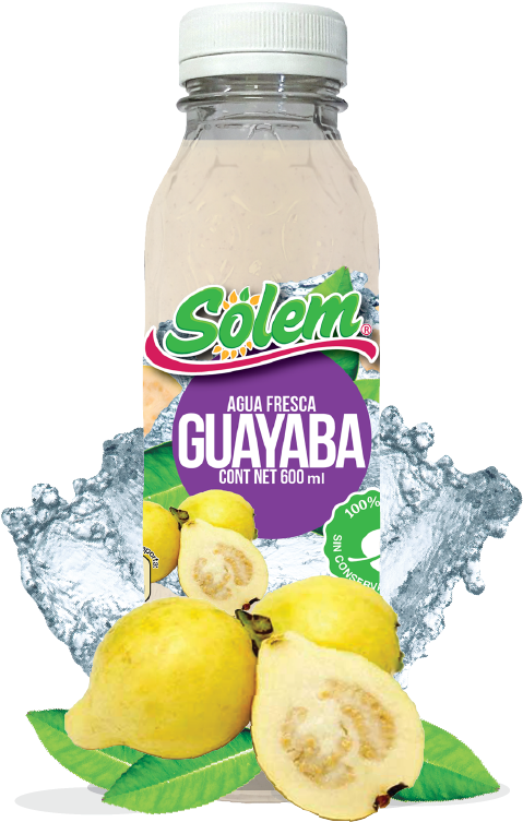 Agua De Guayaba - Plastic Bottle (504x787), Png Download