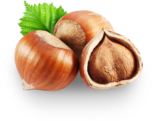 Salt 0 1 Chestnut Full Size Png Download Seekpng