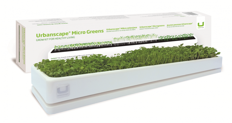 Moss (800x600), Png Download