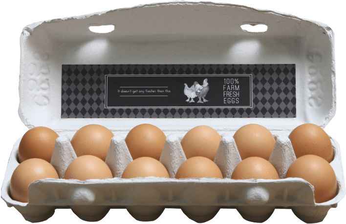 G3, Premium Design - Ping Pong (800x600), Png Download