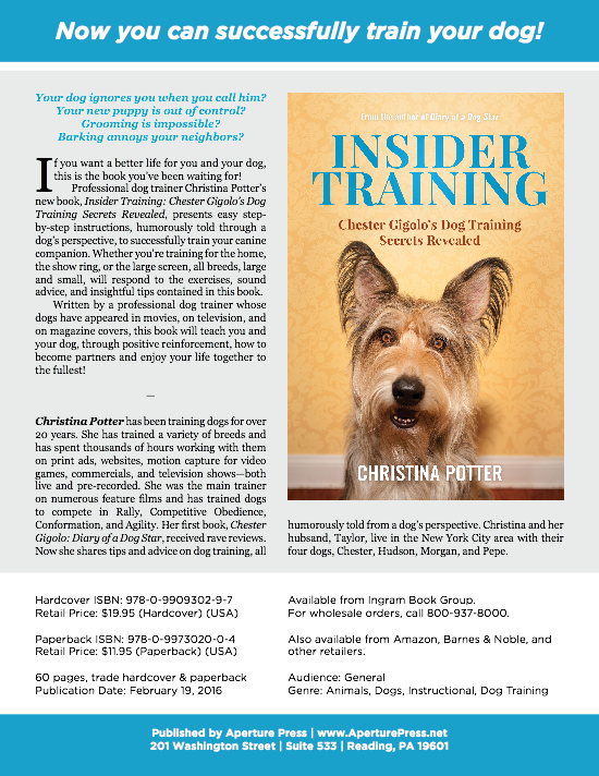 Pepe Learns To Run Again - Companion Dog (550x712), Png Download