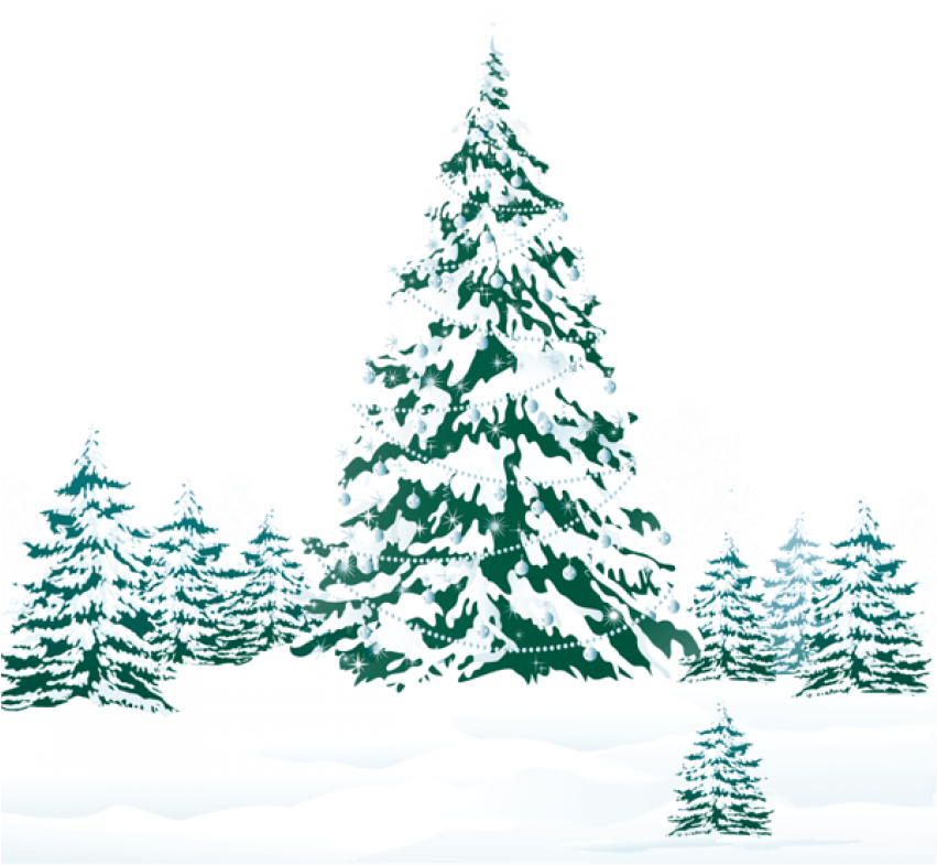 Free Png Snowy Winter Ground With Trees Png - Christmas Tree Snow Clipart (850x809), Png Download