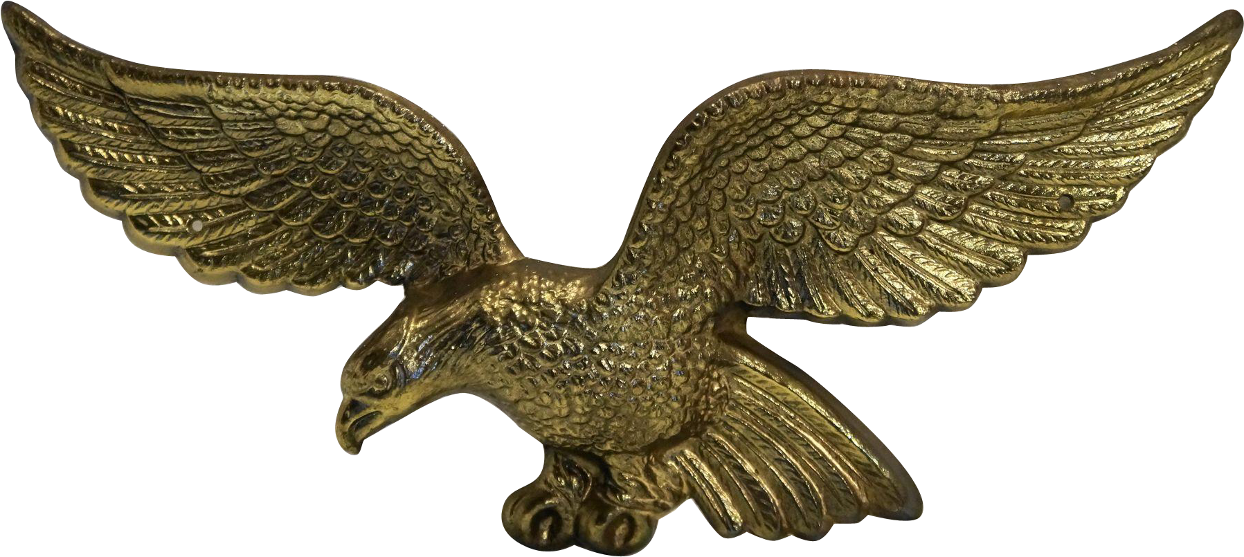 Top Images For American Brass Eagle Plaque On Picsunday - Red-tailed Hawk (1797x805), Png Download