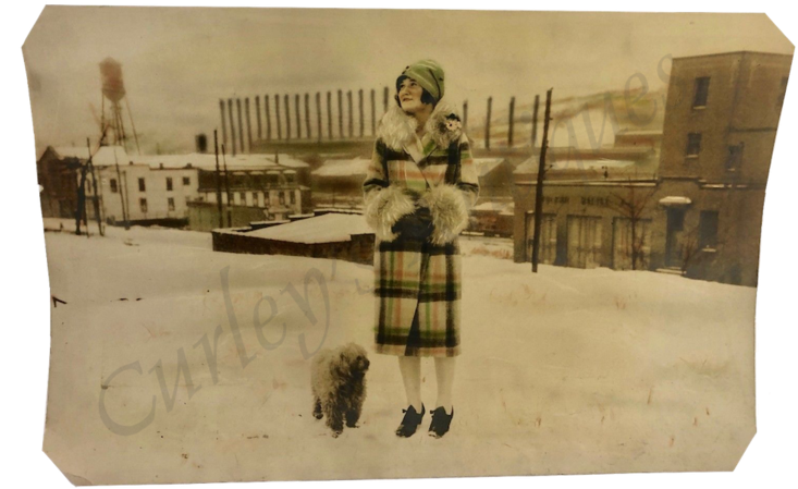 Vintage 1927 Fashion Flapper Beauty Woman Dog Steel - Painting (767x533), Png Download