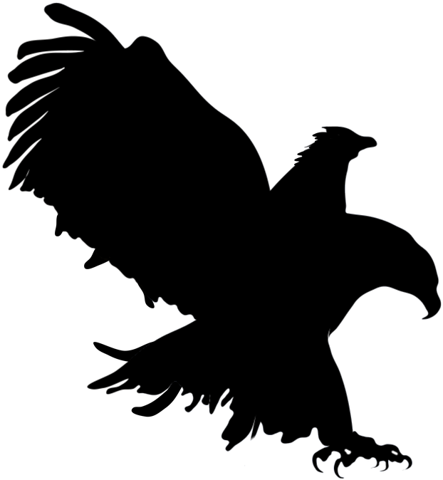 Sombra De Aguila Png (960x680), Png Download