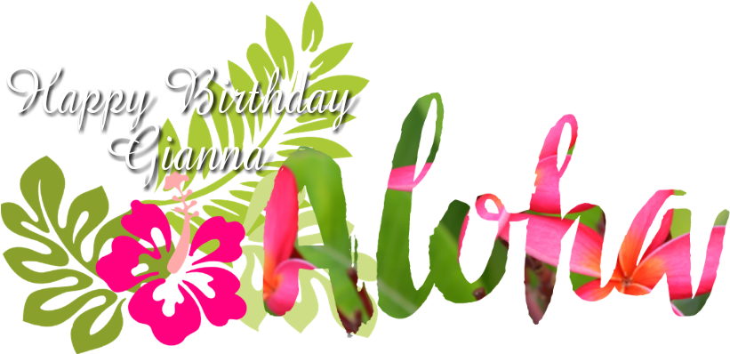 Geofiltros Png - Hibiscus Clip Art (1024x1024), Png Download