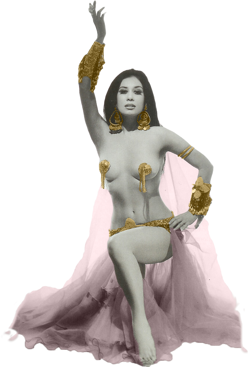 Princess Banu Not For The Faint Of Heart Belly Dancer - Belly Dancer Illustration Vintage (1017x1297), Png Download