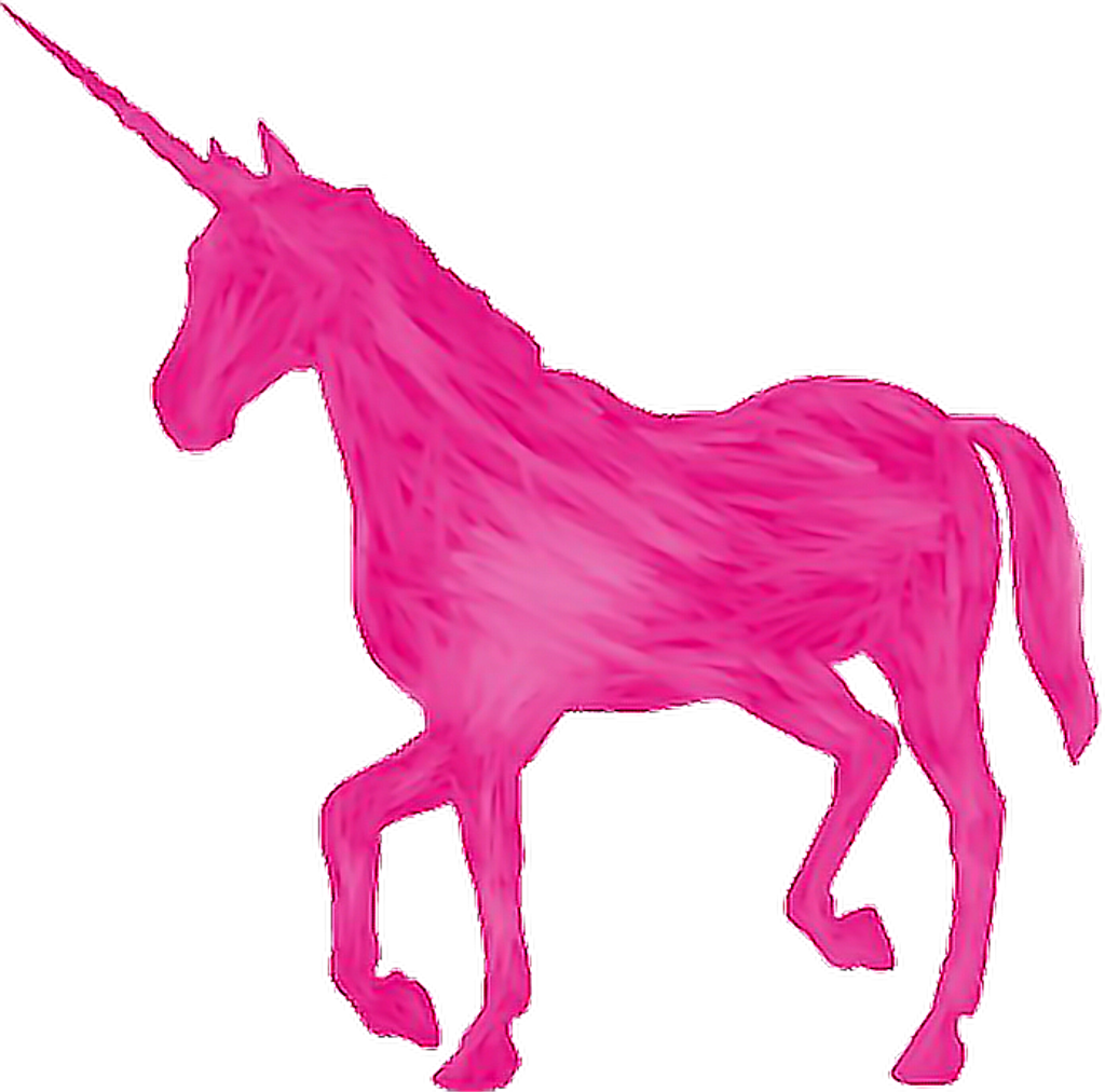 Rosa Pink Unicorn Unicornio Unicornpink Unicorniorosa - Unicorn With Transparent Background (1024x1012), Png Download