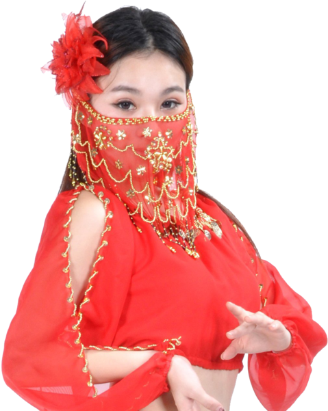 An Error Occurred - Belly Dance (600x600), Png Download