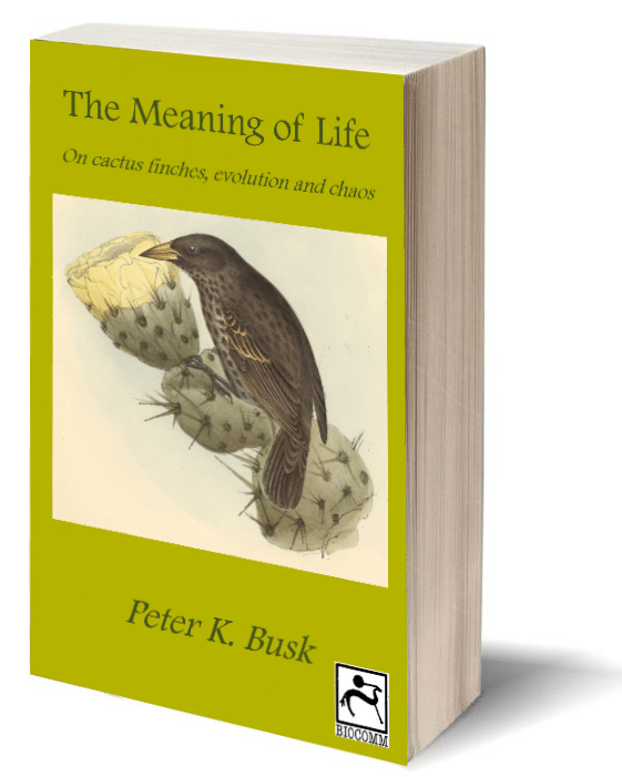 Busk Cover - Common Chameleon (715x1139), Png Download