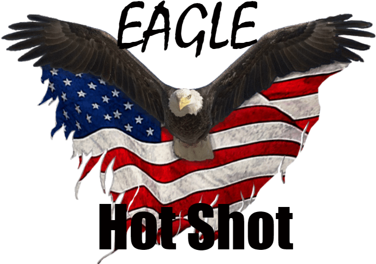 Bald Eagle (748x533), Png Download