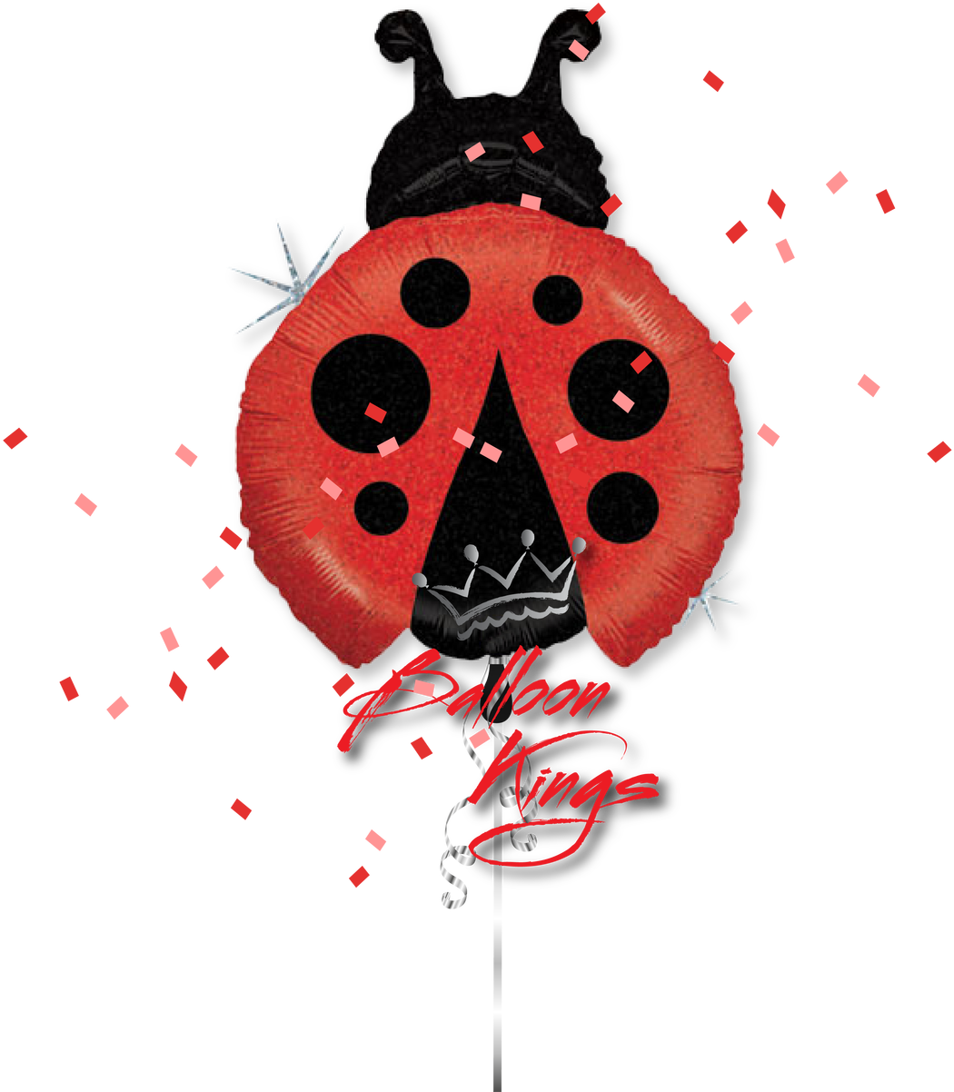 Ladybug - Happy Birthday Ladybug (1280x1280), Png Download