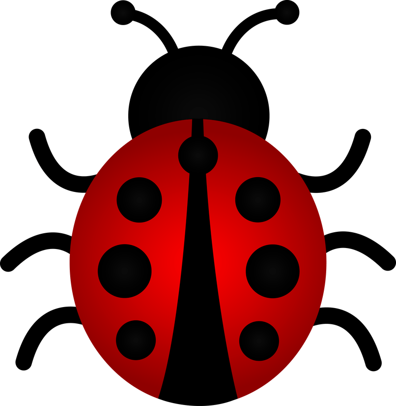 Cute Cartoon Ladybug Pictures - Black And White Ladybug Clipart (806x825), Png Download