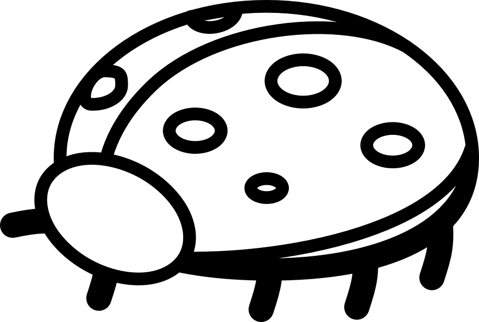 Ladybug Outline Ladybug Free Vector Graphics On Pixabay - Outline Picture Of A Ladybug (960x647), Png Download