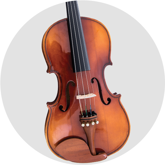 43 - Viola (560x560), Png Download