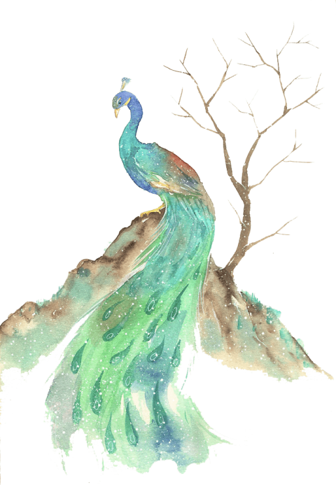 Free Png Download Watercolor Animals Peacock Png Images - Watercolor Peacock Transparent (480x693), Png Download