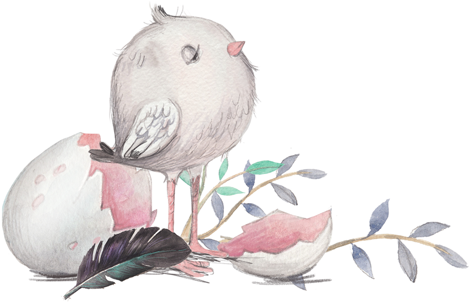 Sign Up To Join The Conversation - African Grey (1200x998), Png Download