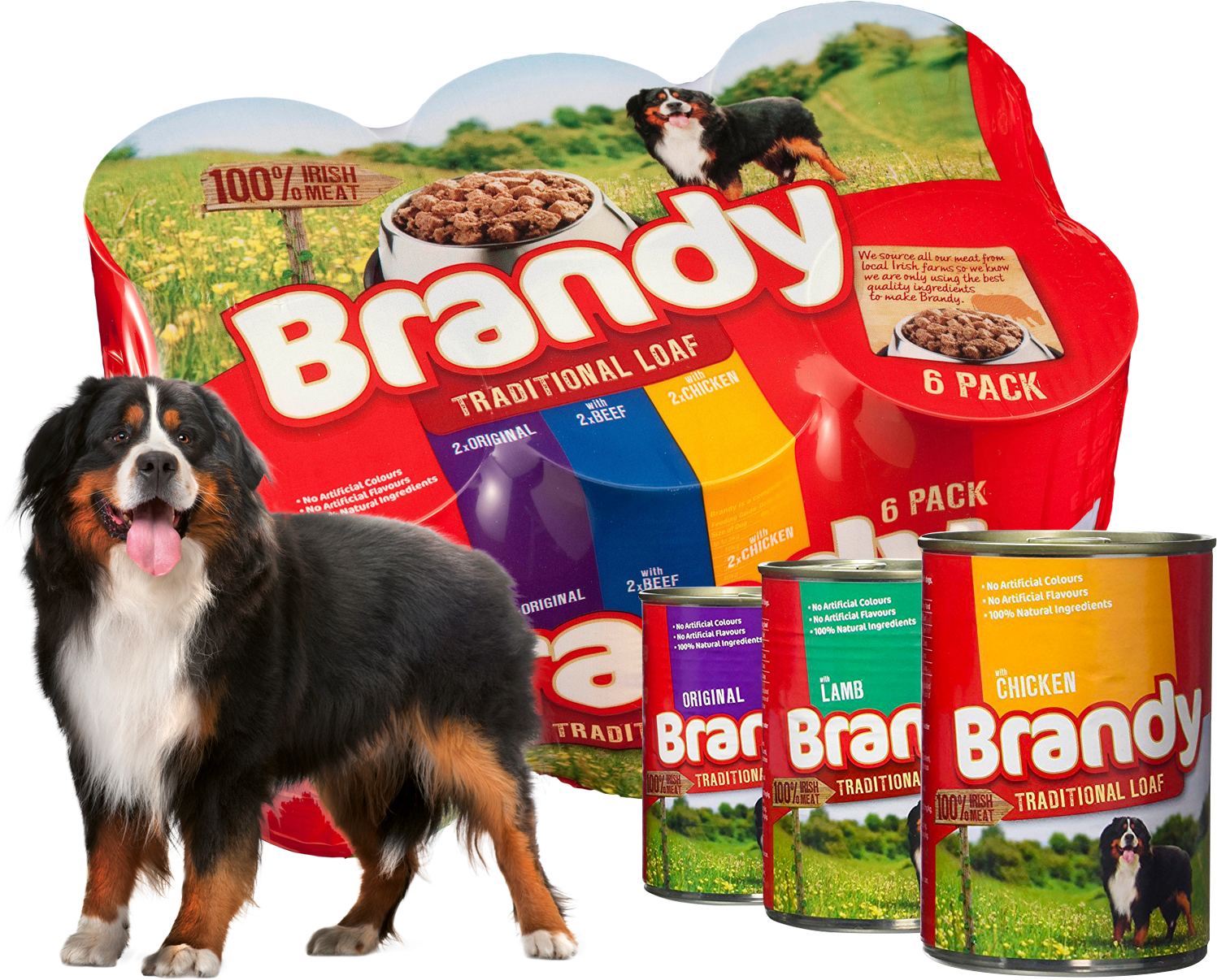 Brandy Traditional Loaf - Bernese Mountain Dog (1500x1240), Png Download