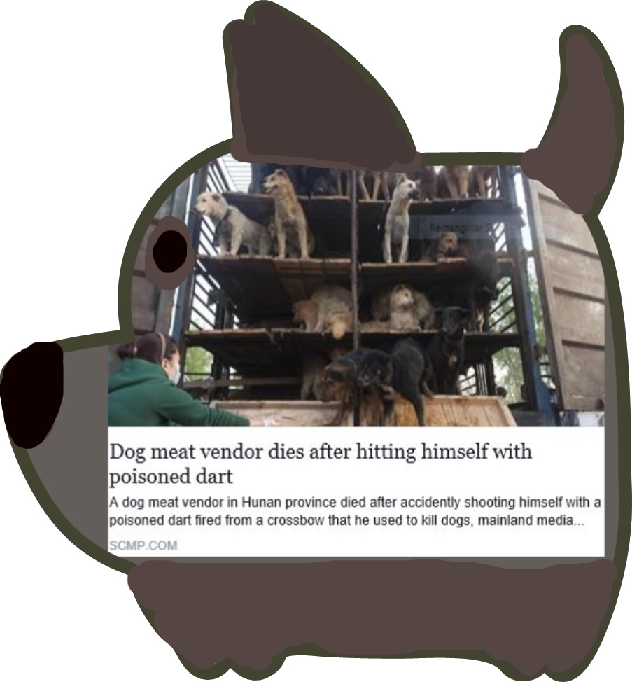 These Dogs Are Not Going To Be Dog Meat - Black Cat (903x974), Png Download