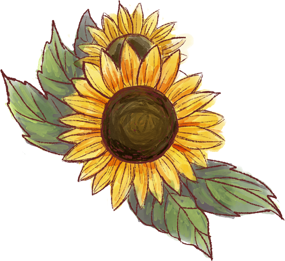 Rayn Will Be Available For Purchase Soon - Sunflower (1200x1200), Png Download