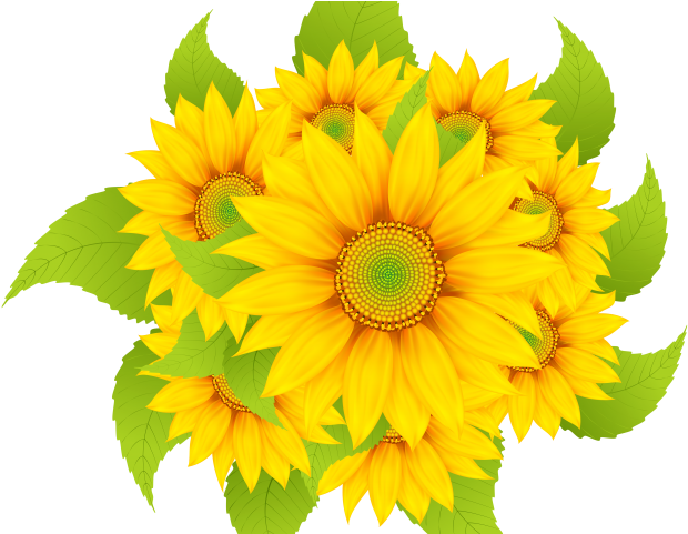 Shape Clipart Yellow Flower - Flower (640x480), Png Download