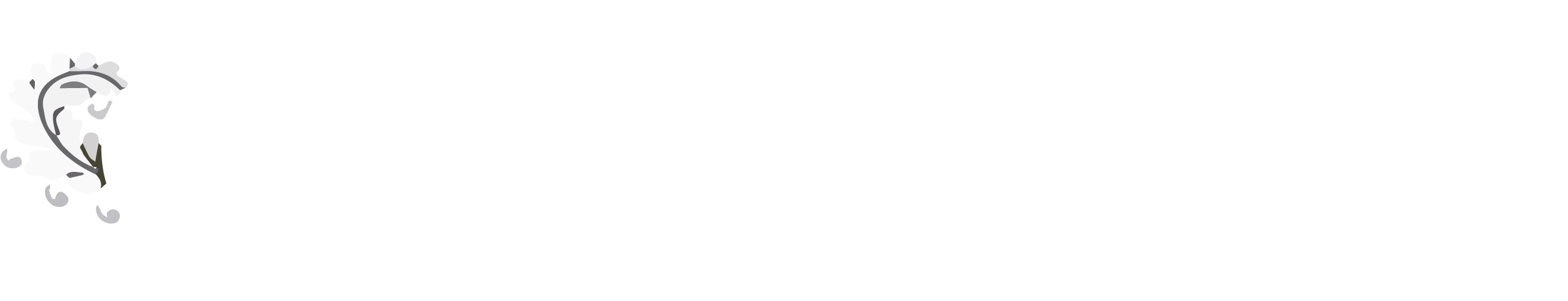 Swagger Function Band - Graphic Design (2585x636), Png Download