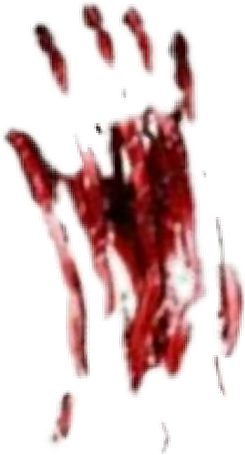 Report Abuse - Illustration (1024x1900), Png Download