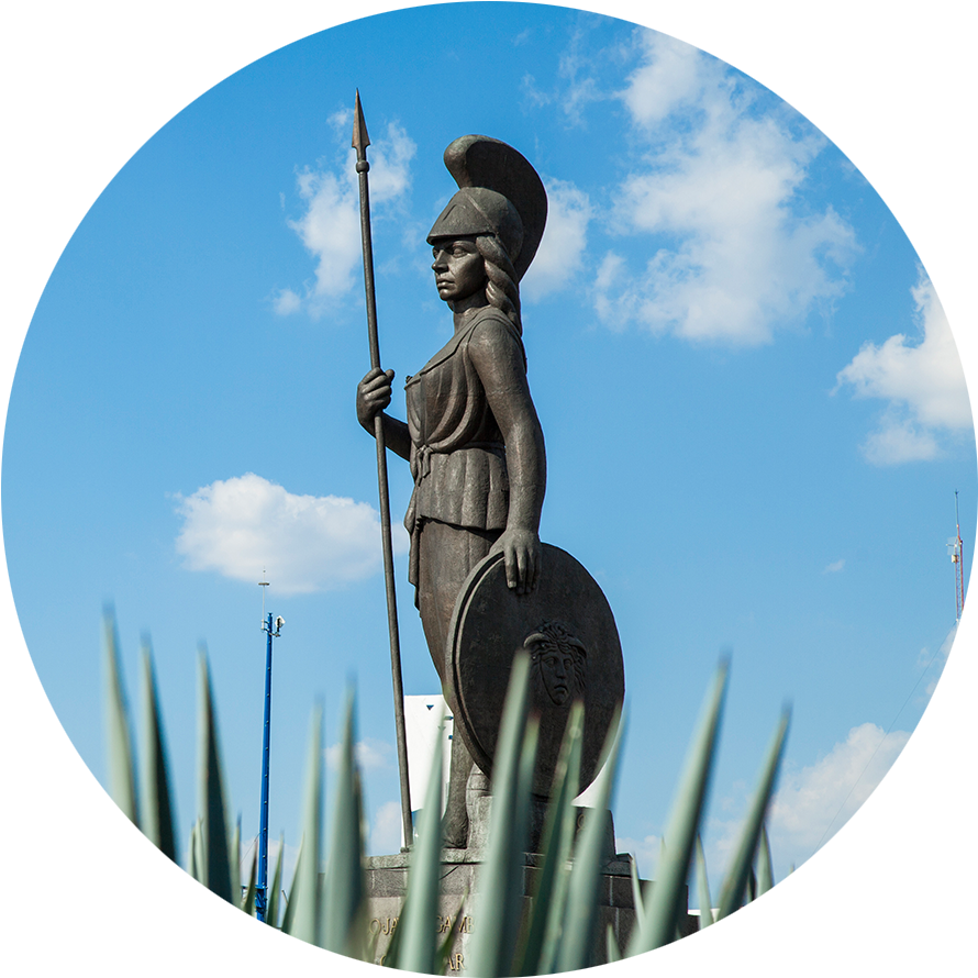 Guadalajara For A Mexican Mix Of Culture And Tradition - Acanthocereus Tetragonus (900x900), Png Download