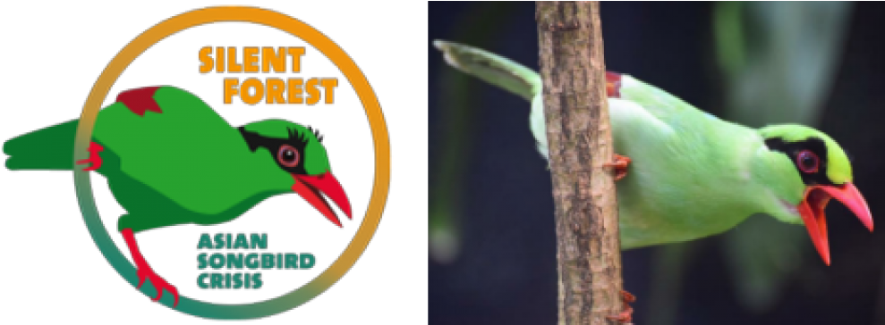 Read More About The New Eaza Silent Forest Campaign - Eaza Silent Forest Campaign (1000x363), Png Download