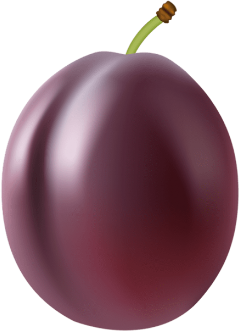 Free Png Plum Fruit Png - Cherry (480x660), Png Download