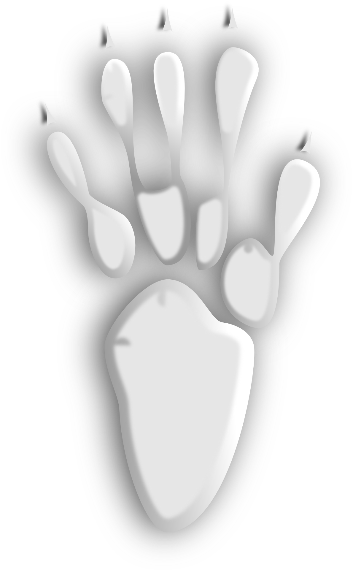 White Paw Print - Empreinte Patte Cochon D Inde (1190x1920), Png Download