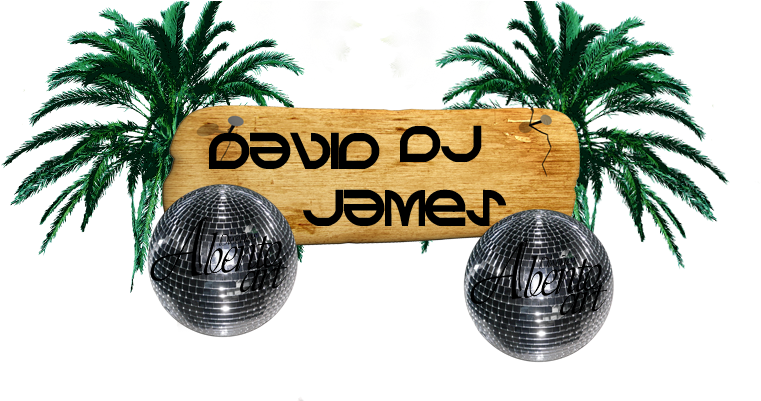 Wrecking Ball - Attalea Speciosa (780x400), Png Download